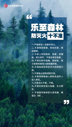 海报|森林防灭火“十不准”